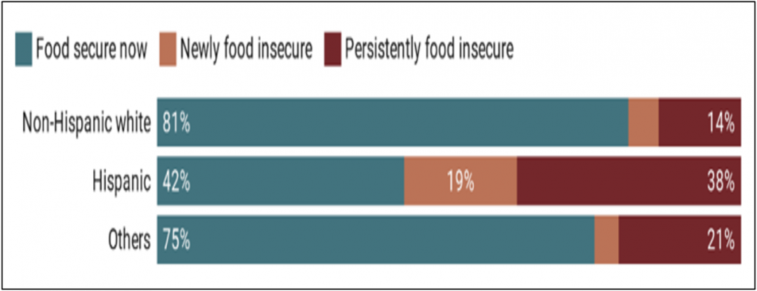 Food Insecurity among Hispanic populations